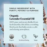 Sky Organics Organic Lavender Essential Oil, 100% Pure and Cold Pressed USDA Certified Organic for Aromatherapy & DIY, 1 Fl Oz.