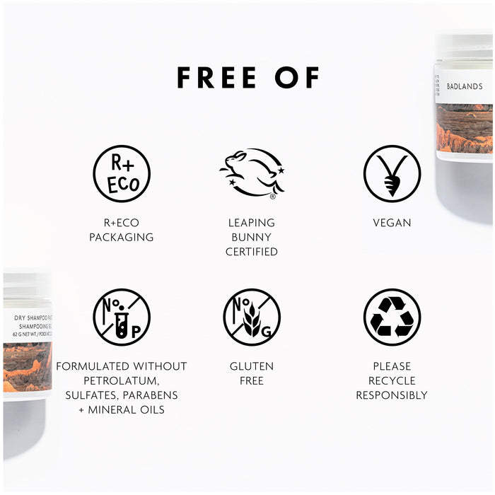 R+Co Badlands Dry Shampoo Paste | Part Dry Shampoo, Part Styling Paste | Adds Texture, Absorbs Oil, Matte Finish | 2.2 oz