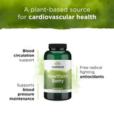 Swanson Hawthorn Berry Supplement - Antioxidant Support with 250 Capsules