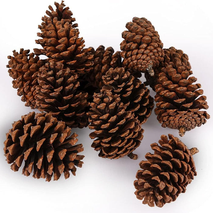 JOHOUSE 3.5-5Inch Natural Pine Cones Crafts, Natural Pinecone Ornaments Vase Fillers for Autumn and Winter Christmas Decorations