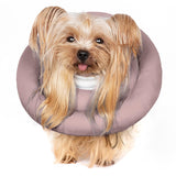 Dog Cones for Small Dogs,Comfortable Adjustable Soft Dog Cone Alternative After Surgery,Elizabethan Donut Collar for Small Dogs Recovery,Different Sizes for Cats,Medium Dogs and Small Dogs