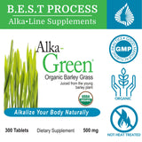 Morter HealthSystem Alka•Green Tablets Best Process Alkaline — Nutrient Dense Organic Barley Grass Supplement — Natural Source of Enzymes & Amino Acids