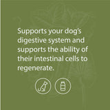 Standard Process - Canine Enteric Support - Digestive System Support for Dogs - 30 Grams