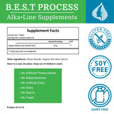 Morter HealthSystem Alka•Green Tablets Best Process Alkaline — Nutrient Dense Organic Barley Grass Supplement — Natural Source of Enzymes & Amino Acids