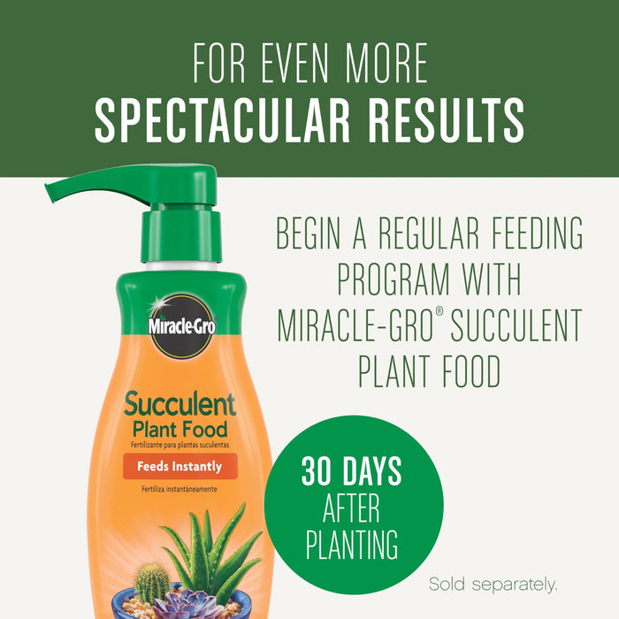 Miracle-Gro Succulent Potting Mix: Fertilized Soil with Premium Nutrition for Indoor Cactus Plants, Aloe Vera and More, 4 qt.