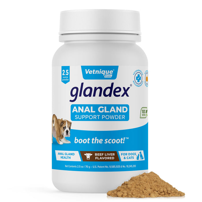 Glandex Dog Fiber Supplement Powder for Anal Glands with Pumpkin, Digestive Enzymes & Probiotics - Vet Recommended Healthy Bowels and Digestion - Boot The Scoot (Beef Liver, 2.5oz Powder)