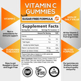 Sugar Free Vitamin C Gummies - Immune Support & Antioxidant Vitamin Dietary Supplement - Vegan, Non-GMO, Dairy & Gluten Free C Vitamin Gummy - Raspberry Flavor for Kids & Adults - 120 Count Gummies