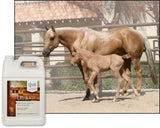 UltraCruz Pure Flax Oil Supplement for Horses and Livestock, 1 Gallon