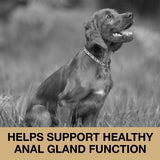 Nutriline Labs Anal Gland Support Soft Chews for Dogs - Dog Supplements with Beet Pulp, Psyllium Husk, Dandelion Root & Pumpkin - Digestive & Gut Health, Normal Bowel Function - Beef Flavor, 60 Count