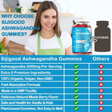 Sijigood 2 Pack Ashwagandha Gummies with Maca Root and L-theanine, 2500mg Organic Ashwa Root Supplement Gummy for Women Men, 120 Vegan Plant-Based Mixed Berry Gummies