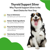 Pet Wellbeing Thyroid Support Silver for Dogs - Vet-Formulated - Supports Underactive Thyroid in Canines - Natural Herbal Supplement 2 oz (59 ml)