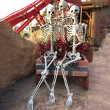 2Packs 5.4ft Halloween Human Skeletons Life Size Full Body Bones with Movable Joints for Halloween Props Spooky Party Decoration