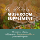 PURE ESSENCE LABS MyPure Lions Mane 4X Mushroom Supplement, 100% Real Mushroom Extract for Immune Support, Combat Stress and Build Energy, Immune Booster for Men and Women, 60 Capsules