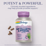 SOLARAY Saw Palmetto and Pygeum - Saw Palmetto for Men and Pygeum Bark - with Zinc, Vitamin B6, Pumpkin Seed and Amino Acids - Prostate Supplements for Men w/Beta Sitosterol (120 VegCaps)