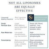 Quicksilver Scientific Liposomal Vitamin C + Elderberry - Liposomal Vitamin C 1000mg with Superior Absorption Technology & Tocotrienols - Antioxidant & Immune Support Tonic (100ml)