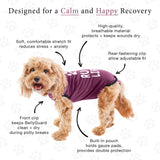 BellyGuard - Dog Recovery Suit, Post Surgery Dog Onesie for Male and Female Dogs, Comfortable Cone Alternative for Large and Small Dogs, Soft Cotton Covers Wound, Stitches. Patented Easy Potty System.