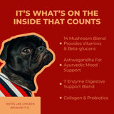 This Saves Paws Dog Multivitamin — 17-in-1 Multi Support — Joint, Immune, Energy, Mood, Cognitive, Bone, Skin, Heart, Eye, Gut, Urinary, Liver, & More — All Natural Dog Supplements & Vitamins