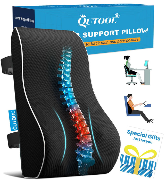 Elegant Lumbar Support Pillow for Office Chair - Ergonomic Back Support with Breathable 3D Mesh Cover, Ideal Gifts for Women,Birthdays & Holidays, Well-Suited for Office Chairs, Gaming Chairs (Black)