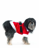 Fashion Pet Santa Claus Costume for Dogs, Small