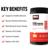 Force Factor Essential Amino Acids, Full Spectrum EAAs Amino Acids Powder, Amino Acids Supplement for Women and Men to Support Healthy Muscle and Workout Recovery, Orange Mango, 30 Servings