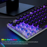 HUO JI E-Yooso Z-88 Wired Typewriter Style Mechanical Gaming Keyboard, Programmable RGB Backlit, Blue Switches - Clicky, Detachable USB-C Cable, Retro 104 Keys for PC, Mac, Black