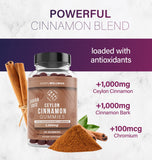 ESSNTLWELLNESS Ceylon Cinnamon Sugar Free Gummies, (120ct 2,000mg/Serving) Joint Support, Antioxidant, Delicious Sugar Free Apple Pie Gummies, Vegan and Gluten Free