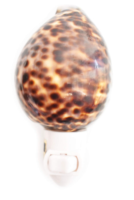 Florida Shells and Gifts Inc. Real Seashell Night Light Tiger Cowrie Shell Decorative Beach Decor Nautical