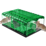 PZQZMAR Mouse Traps, Humane Mouse Trap, Easy to Set, Mouse Catcher Quick Effective Reusable and Safe for Families（2-in-1）-Green