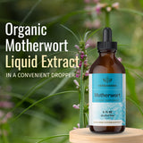 HERBAMAMA Motherwort Tincture - Organic Motherwort Herb Liquid Drops - Vegan Supplement - 4 fl oz