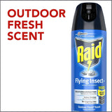 Raid Flying Insect Killer 15 Ounce (Pack of 5)