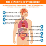 Prebiotics & Probiotics for Women and Men - Probiotics 60 Billion, 19 Strains Acidophilus Probiotic Supplement for Gut Digestive, Immune, Feminine Health, Shelf Stable Soy & Dairy Free | 60 Vegan Caps