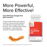 Terry Naturally Turmeric 50X - 60 Capsules - Extra Strength Formula - Vegan, Non-GMO - 30 Servings
