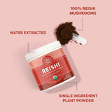 Vimergy USDA Organic Reishi Mushroom Extract Powder, 33 Servings – Red Reishi Mushroom - Supports Healthy Immune System - Non-GMO, Kosher, Gluten-Free, Vegan, Paleo - 100% Pure with Zero Fillers (50g)