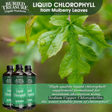 Buried Treasure Liquid Chlorophyll 100 mg Dietary Supplement, Energy Boost Immune Support Detox Intestinal Digestive Support Natural Body Deodorant Vegan Non-GMO Alcohol Free Spearmint Flavor,16 oz