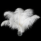 Ballinger White Large Ostrich Feathers - 12Pcs 14-16inch Large Feathers for Vase,Wedding Party Centerpieces and Christmas Home Decor