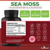 ForestLeaf Organic Irish Sea Moss with Bladderwrack and Burdock Root - Sea Moss Capsules with Organic Turmeric & Ashwagandha Root, Superfood for Digestive (90 Count (Pack of 1))