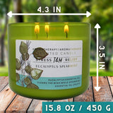 Eucalyptus Spearmint Aromatherapy Candle 3-Wick | Soy Scented Candle for Home | 15.8 oz Large Candle for Men and Women | Long Lasting Eucalyptus Candle | Decorative Candle Gift
