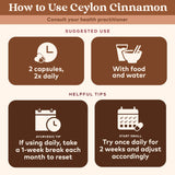 ORGANIC INDIA Ceylon Cinnamon Herbal Supplement - Vegan, Gluten-Free, Kosher, USDA Certified Organic, Non-GMO - 90 Capsules