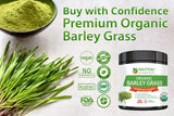 Barley Grass Powder - USDA Certified Organic Barley Grass Powder - Non-GMO, Vegan, and Non-Irradiated - Rich In Antioxidants, Protein, Fiber, Minerals, Chlorophyll, Amino Acids and Protein - 200 Grams