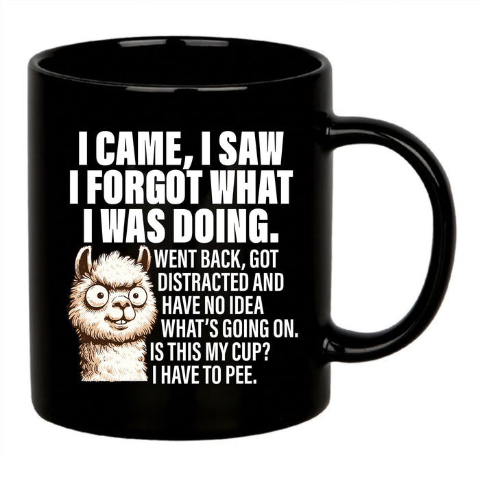 I Came I Saw I Forgat What I Was Doing Old People Elderly Gifts for Women Mom Men Grandpa Grandma 70th 80th 90th Birthday Senior Citizen Gifts for People with Dementia Ceramic Mug 11 oz Black