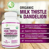 Max Absorption USDA Organic Milk Thistle Potent 5:1 Concentrated Extract (2000mg Strength) & Organic Dandelion Root | Silymarin Antioxidant Flavonoid | Liver Support Supplement (60 Count (Pack of 1))