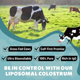 Liposomal Bovine Colostrum Supplement 2500mg - Grass Fed Colostrum Powder for Immune, Gut, Muscle, Hair, Skin & Wellness - Ultra Bioavailable, 100% Pure, Natural IgG, Easy to Mix (60 Servings)