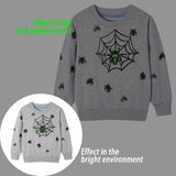 HILEELANG Little Boy Sweatshirts Halloween Grey Spider Graphic Crewneck Long Sleeve Pullover Cotton Top Sweater Shirts 6 Years