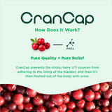 CranCap - Cranberry Pills - Urinary Tract Health Cranberry Supplement - 36mg of Potent PACs - Non GMO, Vegan, Gluten Free - by Heale - 30 Capsules