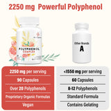 67,500 MG Polyphenols Supplement - Powerful Antioxidants & Polyphenol for Age Defense, Polyphenol Superfood, Quercetin, Resveratrol, Green Tea, Plant-Based & Energy, Immune Support, 90 Capsules