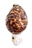 Florida Shells and Gifts Inc. Real Seashell Night Light Tiger Cowrie Shell Decorative Beach Decor Nautical