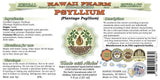 Hawaii Pharm Psyllium Alcohol-Free Liquid Extract, Psyllium (Plantago Psyllium) Dried Husk Glycerite Natural Herbal Supplement, USA 2x4 fl.oz