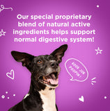 First Impressions No Scoots, Good Poops for Dogs - Tasty Soft Chews for Healthy Anal Gland and Digestion, High in Fiber for Dogs - with Beet Pulp, Psyllium Husk, and Pumpkin - 60 ct