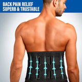 Back Support Belt for Men and Women: Lower Back Pain Relief Breathable Waist Lumbar Support Brace for Sciatica Herniated Disc Scoliosis with 7 Stays and Dual Adjustable Straps(L/XL 100-110CM)