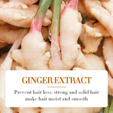 Ginger Anti-Hair Loss Oil - 30ml Strong Root Fixation Ginger Organic Hair Growth Oil For Dry Damaged Hair - Improve Dry Rough, Moisturizing And Smooth, Reduce Hair Loss Strengthen Hair